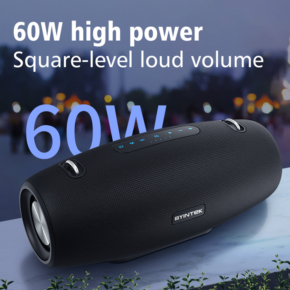 soundog.jpeg